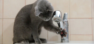 На этой неделе в Днепре будут отключать воду должникам: адреса домов