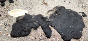 На побережье Одесской области снова обнаружили остатки мазута