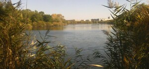 Активисты выиграли суд против горсовета Днепра по прибрежной защитной полосе