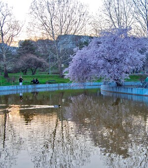 Иллюзион-шоу и вечер Леся Подервянского: куда пойти в Одессе в эти выходные