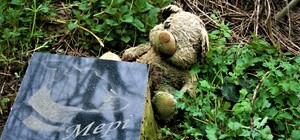 Запорожцев просят забрать остатки любимцев из неофициального кладбища: будут строить ТРК