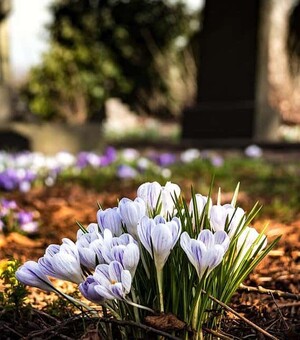 Когда в 2025 году поминальные субботы: даты, традиции и советы для верующих