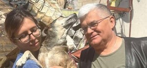 Альбуса нашли: собака директора Одесского зоопарка снова дома (обновлено)