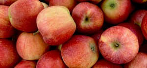 Где на этой неделе в Киеве пройдут продуктовые ярмарки. Адреса