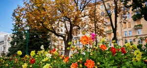 Якою буде погода в Харкові у перші вихідні жовтня