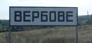 ВСУ опровергли информацию об оккупации Вербового (видео)