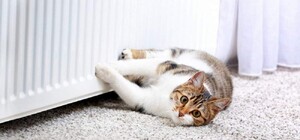 Когда в Украине стартует отопительный сезон: даты, условия и особенности