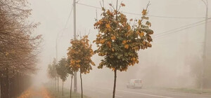 Можливі тумани: яка погода буде в Одесі наступного тижня
