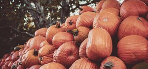 Где в эти выходные в Киеве пройдут продуктовые ярмарки. Адреса