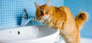 Из-за долгов: стало известно, в каком районе Днепра отключат воду на следующей неделе