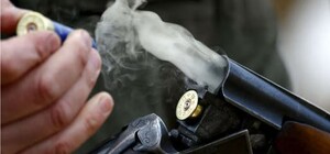 У Харківській області чоловік із рушниці застрелив собак