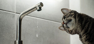 В части Одессы и Одесского района сутки не будет воды: адреса отключений