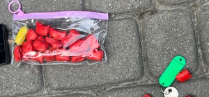 У Львовів 22-річна полтавка з 5-річною донькою ховали «закладки» поблизу дитячих майданчиків: фото