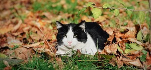 Последние дни осени: какая погода будет в Одессе в эти выходные