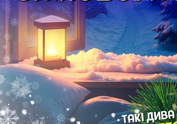 Сказочный сон зимней ночи