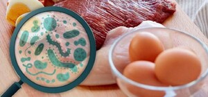В Запорожье подтвердили четыре случая сальмонеллеза