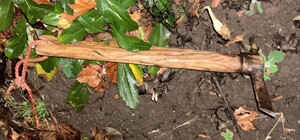 У Стрию чоловік під час перевірки документів вдарив сокирою працівника ТЦК: фото 