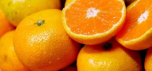 Где в эти выходные в Киеве пройдут продуктовые ярмарки. Адреса