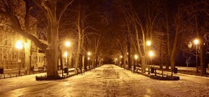 Погода в Одессе на следующей неделе: будет ли на Новый год снег