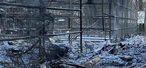 РФ обстреляла экопарк под Харьковом: ранена волонтерка, погибли пернатые