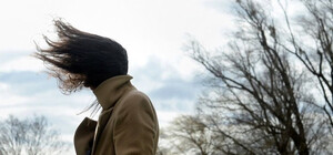 Возможно падение деревьев: какая погода будет в Одессе в первые январские выходные