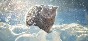 Снег, скользко и до -13 °С: какая погода будет в Одессе в эти выходные