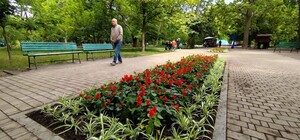 В Одессе на озеленение клумб планируют потратить более 815 тысяч гривен