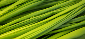 Де на цьому тижні у Києві пройдуть продуктові ярмарки. Адреси