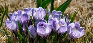 Планируй отдых: какая погода будет в Харькове в эти выходные