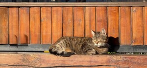 Первые дни апреля: какая погода будет в Одессе в эти выходные