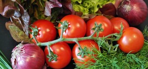 Где в эти выходные в Киеве пройдут продуктовые ярмарки. Адреса