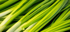 Где на этой неделе в Киеве пройдут ярмарки. Адреса