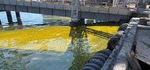Через удар по порту на Одещині в море потрапили тонни соняшникової олії