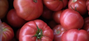 Де на цьому тижні у Києві пройдуть продуктові ярмарки. Адреси