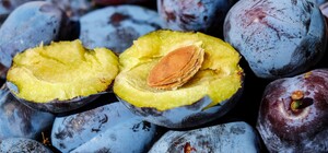 Где в эти выходные в Киеве пройдут продуктовые ярмарки. Адреса