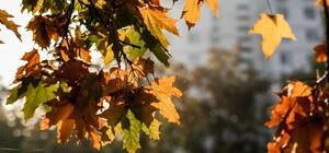 Тепло, как весной: какая погода будет в Одессе в эти выходные