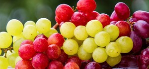 Где в эти выходные в Киеве пройдут продуктовые ярмарки. Адреса