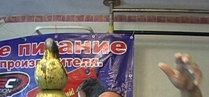 Донетчанин, стоя головой на стекле, отжимал 32-килограммовые гири