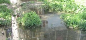 В Луганске вблизи райисполкома  образовалось фекальное озеро