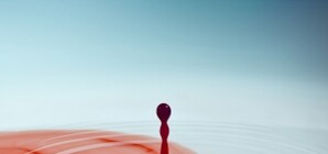 В Мариуполе озверевший грузчик топором забил охранника прямо в супермаркете 