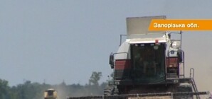 На Запорожье пайщики бойкотируют выборы, пока им не заплатят