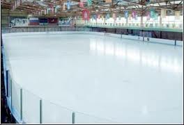 Ледовый дворец влетит бюджету Луганска в копеечку