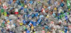 Всемирная акция 