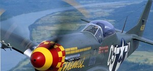 В Киеве пройдет фестиваль ретро-самолетов, на одном из которых прилетит британский принц