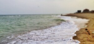 Ежедневный обзор соцсетей: разборки Барби с гаишниками и презерватив на ужин