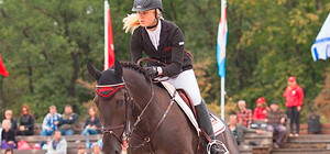 В Донецк за миллионом евро приедут лучшие всадники мира