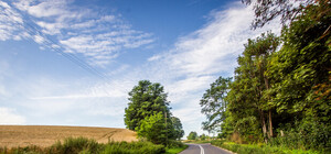 Поздравления с Днем автомобилиста: смс и тосты