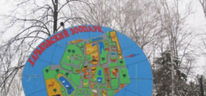 В Харьковском зоопарке начали строить дом для гепардов