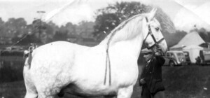 Гигантский жеребенок стал талисманом Донецка на 2014 год