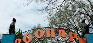 Поможем всем миром: Харьковский зоопарк ищет опекунов для своих питомцев